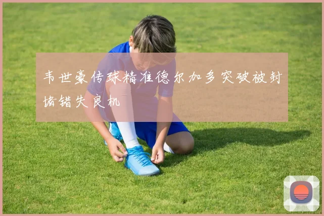 韦世豪传球精准德尔加多突破被封堵错失良机