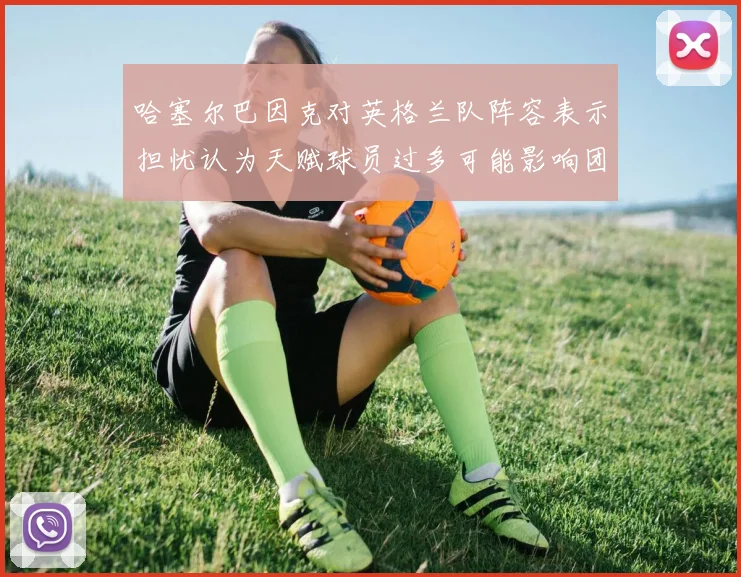哈塞尔巴因克对英格兰队阵容表示担忧认为天赋球员过多可能影响团队合作