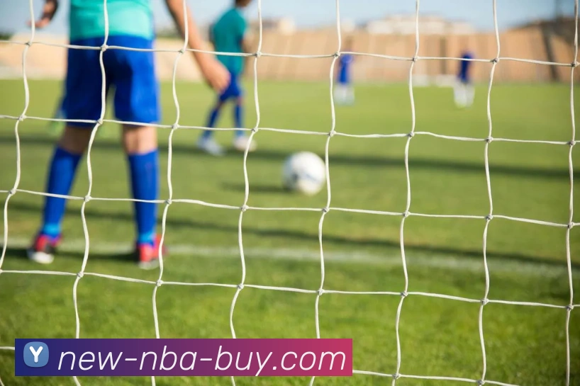 NBA买球网站平台生态图